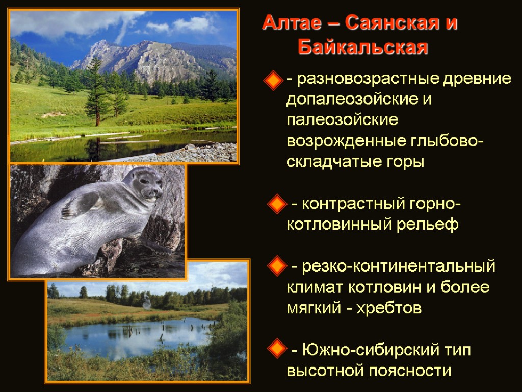 Алтае – Саянская и Байкальская - разновозрастные древние допалеозойские и палеозойские возрожденные глыбово-складчатые горы